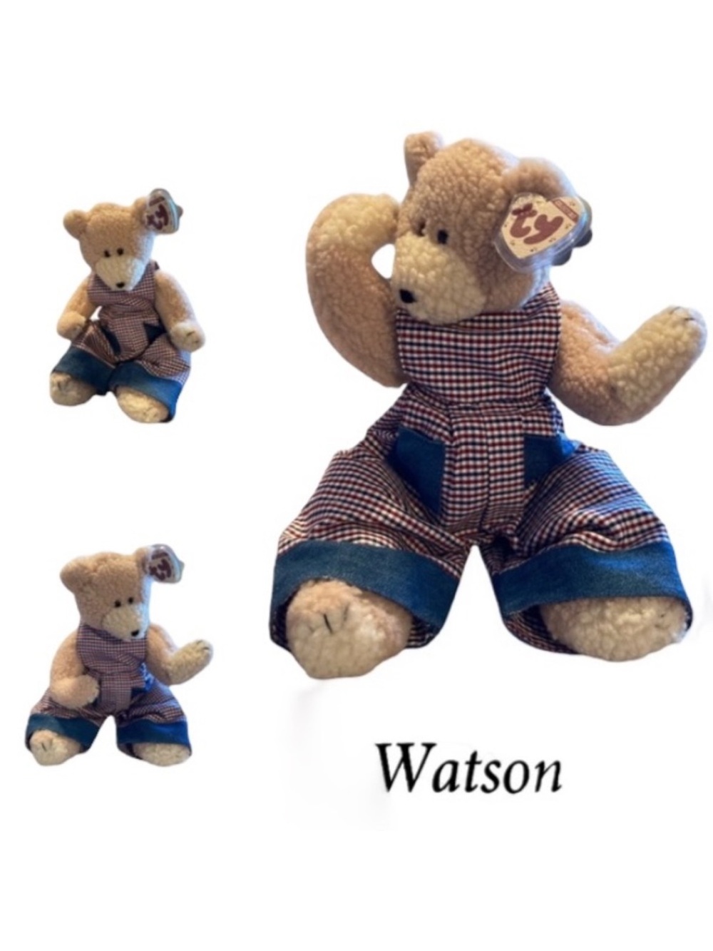 Watson The Bear Rare Ty Attic Treasures